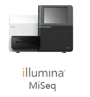 Illumina MiSeq sequencing