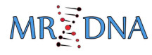 MR DNA