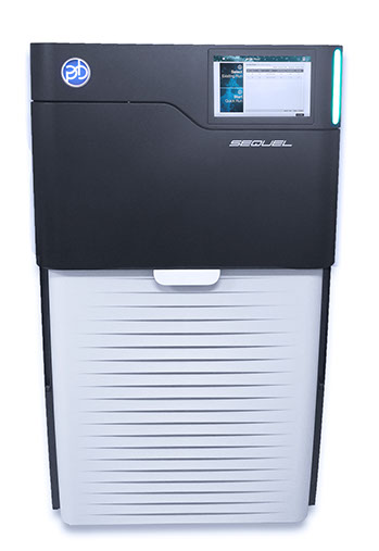 PacBio Sequel long-read sequencing